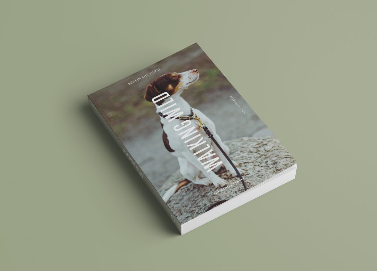 Ein Buchcover mit Hund an der Leine.